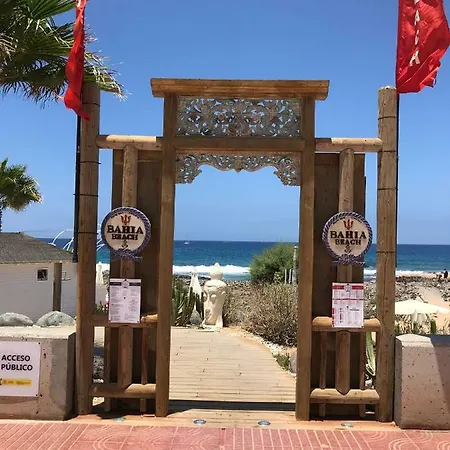 Del 23 Palm-mar